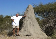 African Anthill